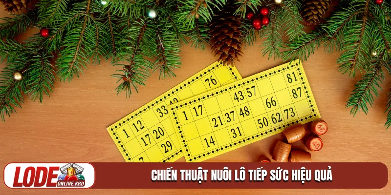 Chiến thuật nuôi lô tiếp sức mang lại lợi nhuận cao từ chuyên gia 1 Chiến thuật nuôi lô tiếp sức hiệu quả